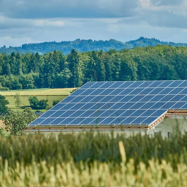 p2